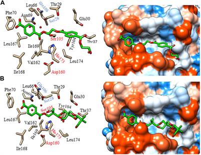 Comparison of the enzymatic depolymerization of polyethylene terephthalate and AkestraTM using Humicola insolens cutinase